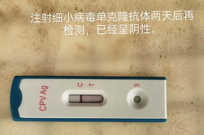 图5.jpg
